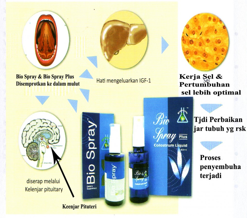 cara kerja biospray