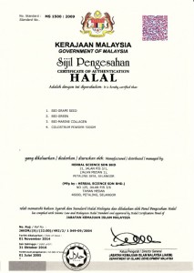malay1