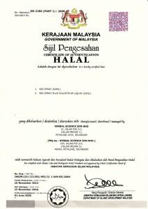 malay2